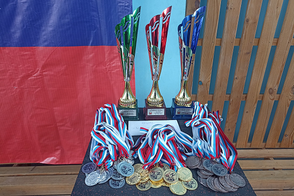аэросъемка ПГС.JPG